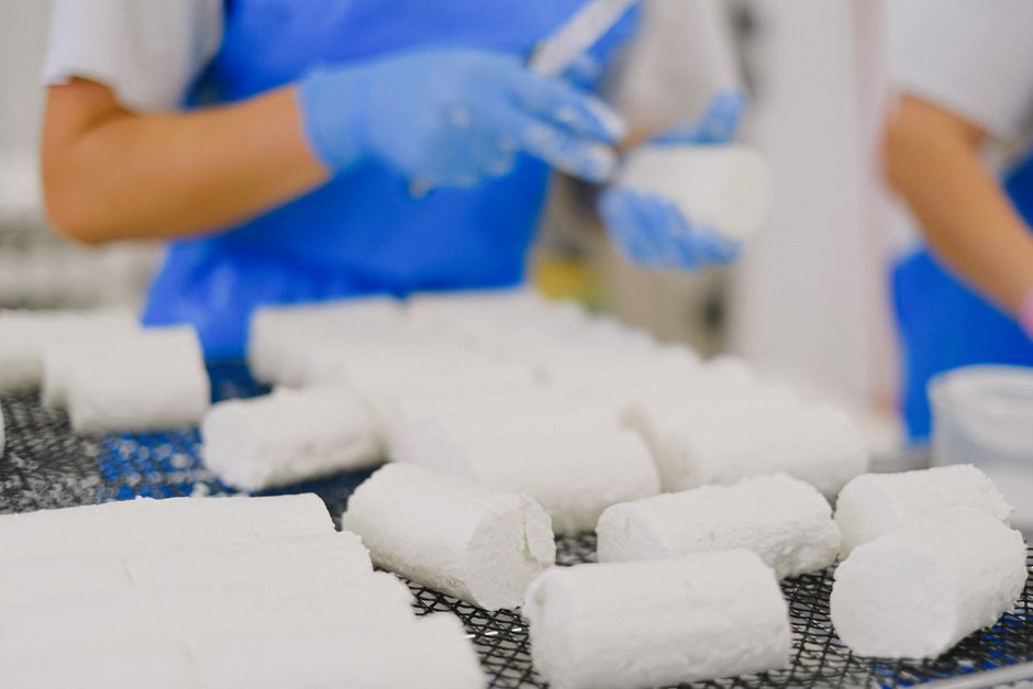 Artisan goat cheese being prepared in a dairy factory by workers in blue aprons.